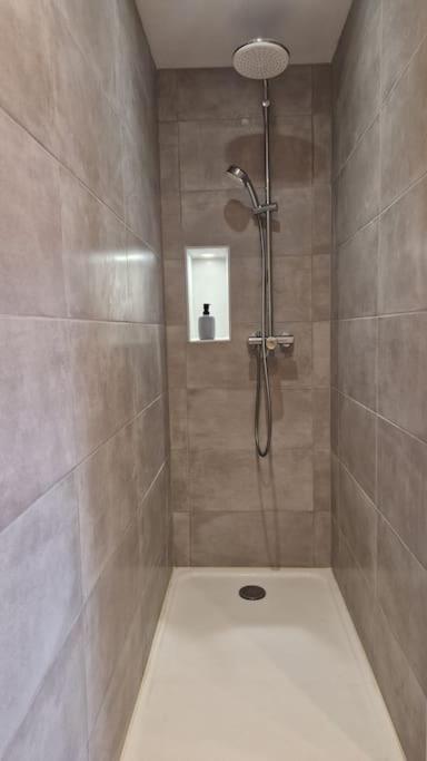 Le Champ Du Roy Apartment Chasse-sur-Rhone Ngoại thất bức ảnh