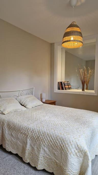 Le Champ Du Roy Apartment Chasse-sur-Rhone Ngoại thất bức ảnh