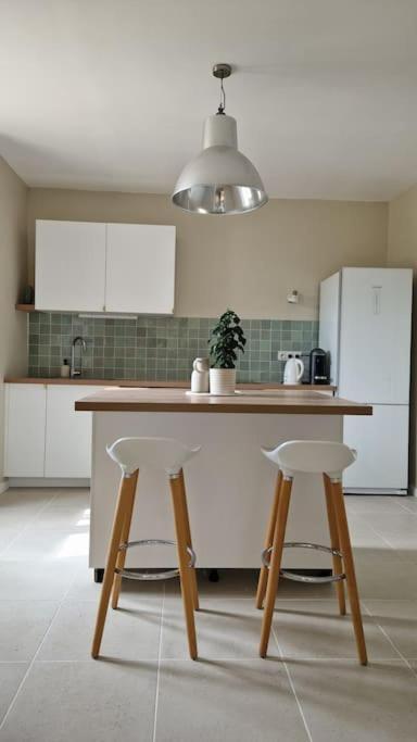 Le Champ Du Roy Apartment Chasse-sur-Rhone Ngoại thất bức ảnh
